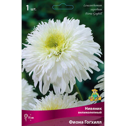 ������ ������ ������� ������������ ����� �������   ����