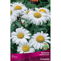 ������ ������ ������� ���������� �������   ����