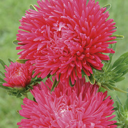 ������ ������ ����� ���� ������� (1 ��-1000��) ���������������� ������   ����