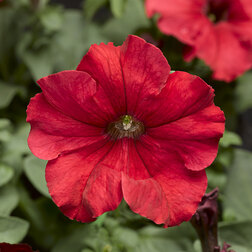 ������ ������ ������� ����������� �������� ��� (1��-1000��) ���������������� ������   ����