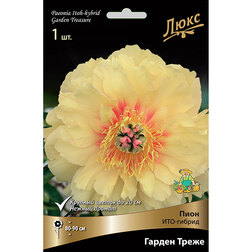 ������ ������ ����� ���-������ ������ �����* (2-3 �����)   ����