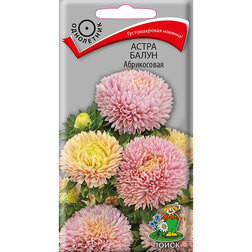 ������ ������ ����� ����� �����������   ����