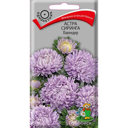 ������ ������ ����� ������� �������� ( (���� ������. �� ����� 2024 �)   ����