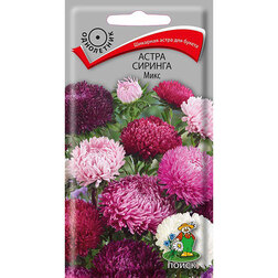 ������ ������ ����� ������� ����   ����