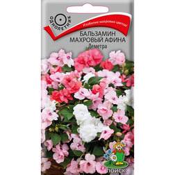 ������ ������ ��������� �������� ����� �������   ����