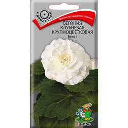 ������ ������ ������� ��������� ��������������� �����   ����