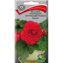 ������ ������ ������� ��������� ��������������� �������   ����