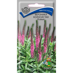 ������ ������ �������� ���������� �������   ����