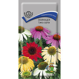 ������ ������ �������� ����� ������   ����