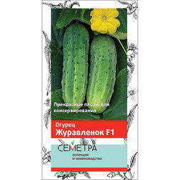 ������ ������ ������ ���������� F1 (�������)   ����