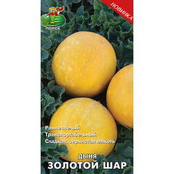 ������ ������ ���� ������� ���   ����