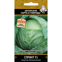 ������ ������ ������� ������������ ������ F1   ����