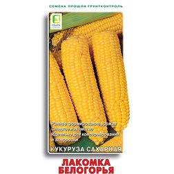 ������ ������ �������� �������� ������� ���������   ����