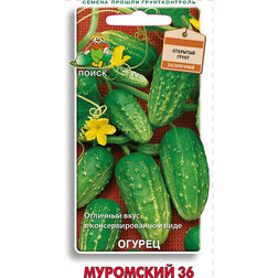 ������ ������ ������ ��������� 36   ����