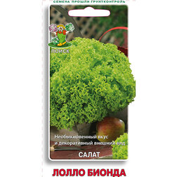 ������ ������ ����� ����� ������   ����