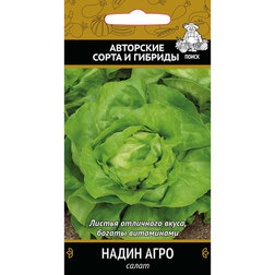 ������ ������ ����� ����� ����   ����