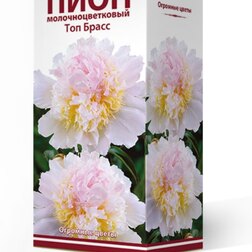 ������ ������ ���� ����������� ��� �����   ����