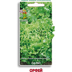 ������ ������ ����� �����   ����