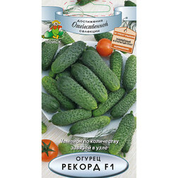 ������ ������ ������ ������ F1   ����