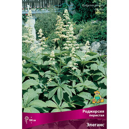 ������ ������ ��������� �������� �������   ����