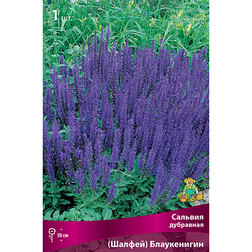 ������ ������ ������� ��������� (������) �����������   ����