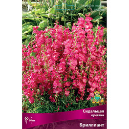 ������ ������ ��������� ������� ���������   ����