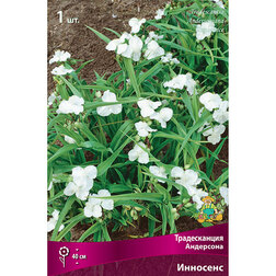 ������ ������ ������������ ��������� ��������   ����