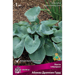 ������ ������ ����� ��������� ������ ������� ����   ����