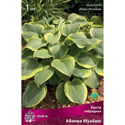 ������ ������ ����� ��������� ������ ������   ����