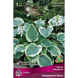 ������ ������ ����� ��������� �������� ����   ����