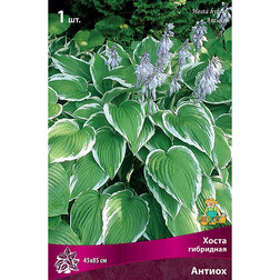 ������ ������ ����� ��������� ������   ����