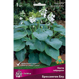 ������ ������ ����� ��������� ���������� ���   ����