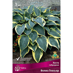 ������ ������ ����� ��������� ����� �������   ����