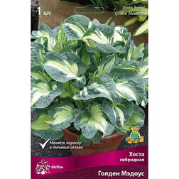 ������ ������ ����� ��������� ������ ������   ����