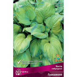 ������ ������ ����� ��������� ���������   ����