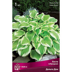 ������ ������ ����� ��������� ������ ���   ����