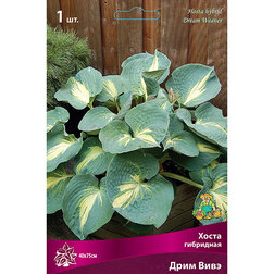 ������ ������ ����� ��������� ���� ����   ����