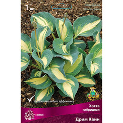 ������ ������ ����� ��������� ���� ����   ����