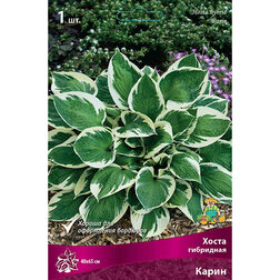 ������ ������ ����� ��������� �����   ����