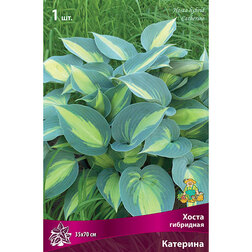 ������ ������ ����� ��������� ��������   ����