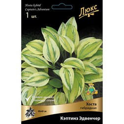 ������ ������ ����� ��������� ������ �������   ����