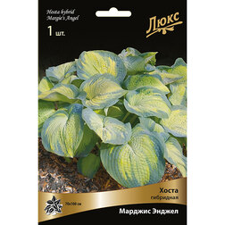 ������ ������ ����� ��������� ������� ������   ����