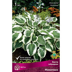 ������ ������ ����� ��������� ��������   ����