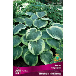 ������ ������ ����� ��������� ������ �������   ����