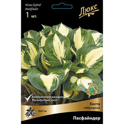 ������ ������ ����� ��������� ����������   ����