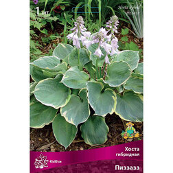 ������ ������ ����� ��������� ������   ����