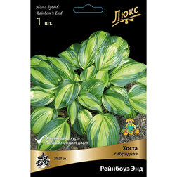 ������ ������ ����� ��������� �������� ���   ����