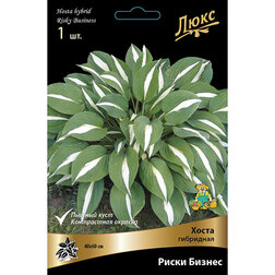 ������ ������ ����� ��������� ����� ������   ����