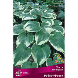 ������ ������ ����� ��������� ������ �����   ����