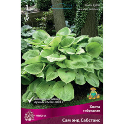 ������ ������ ����� ��������� ��� ��� ��������   ����